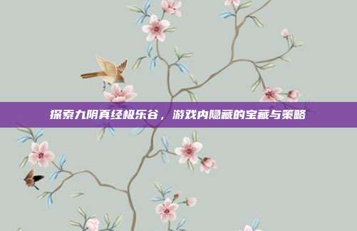 探索九阴真经极乐谷，游戏内隐藏的宝藏与策略