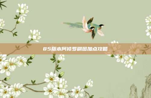85版本阿修罗刷图加点攻略