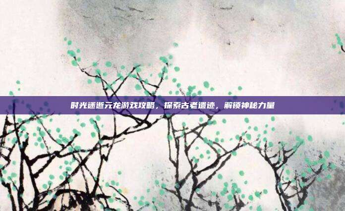 时光迷逝元龙游戏攻略,探索古老遗迹,解锁神秘力量