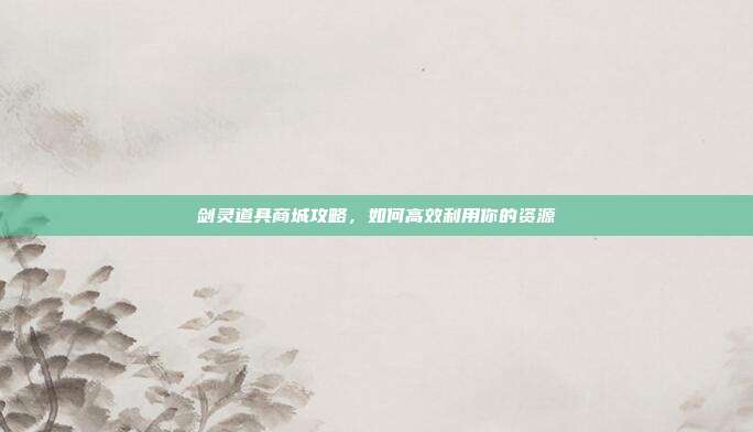 剑灵道具商城攻略,如何高效利用你的资源