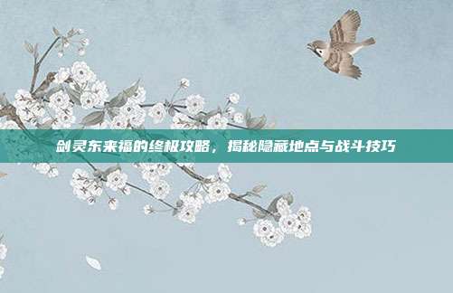 剑灵东来福的终极攻略,揭秘隐藏地点与战斗技巧
