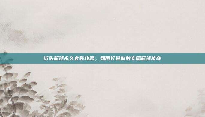 街头篮球永久套装攻略，如何打造你的专属篮球传奇