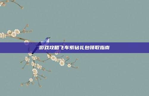 游戏攻略飞车紫钻礼包领取指南