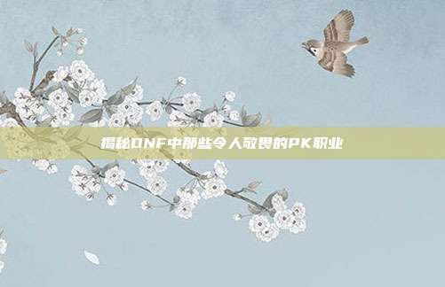 揭秘DNF中那些令人敬畏的PK职业