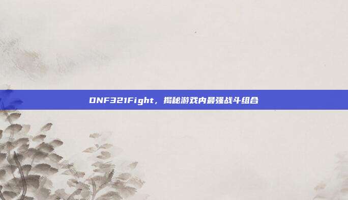 DNF321Fight,揭秘游戏内最强战斗组合