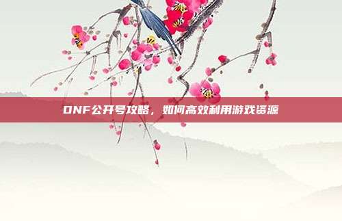 DNF公开号攻略,如何高效利用游戏资源