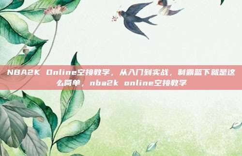 NBA2K Online空接教学，从入门到实战，制霸篮下就是这么简单，nba2k online空接教学
