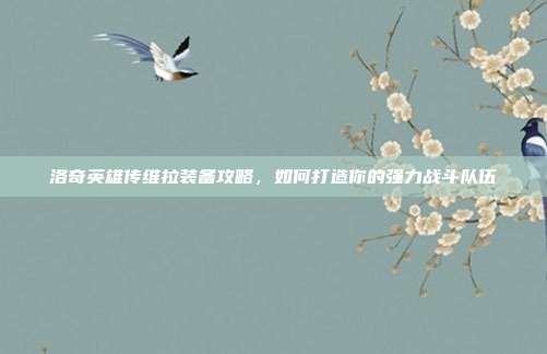 洛奇英雄传维拉装备攻略，如何打造你的强力战斗队伍