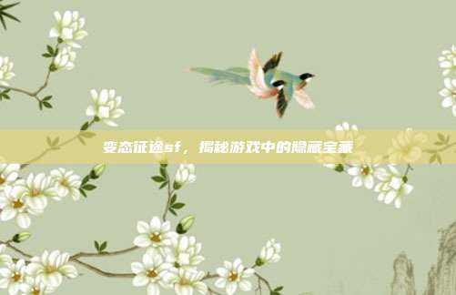 变态征途sf,揭秘游戏中的隐藏宝藏