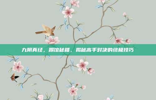 九阴真经,踢馆秘籍,揭秘高手对决的终极技巧