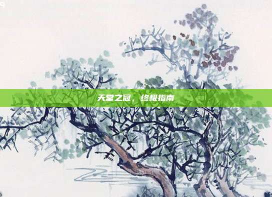 天堂之冠,终极指南