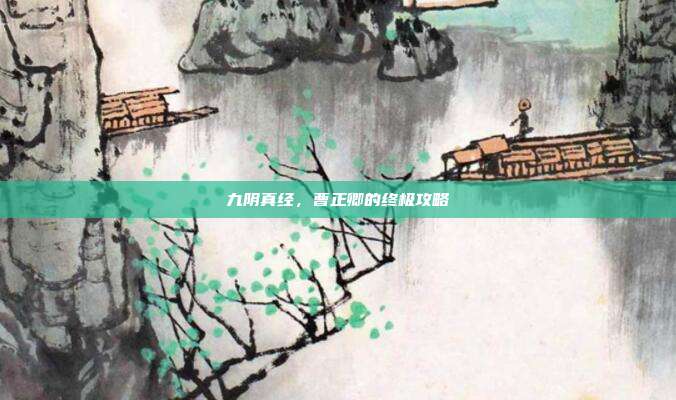 九阴真经，曹正卿的终极攻略