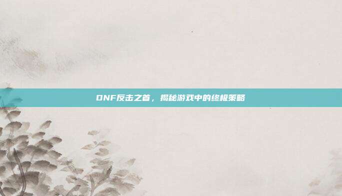 DNF反击之首，揭秘游戏中的终极策略