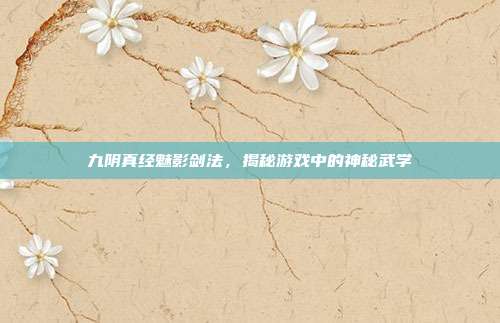 九阴真经魅影剑法,揭秘游戏中的神秘武学