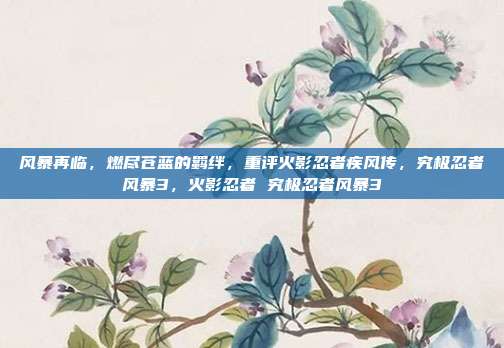 风暴再临，燃尽苍蓝的羁绊，重评火影忍者疾风传，究极忍者风暴3，火影忍者 究极忍者风暴3