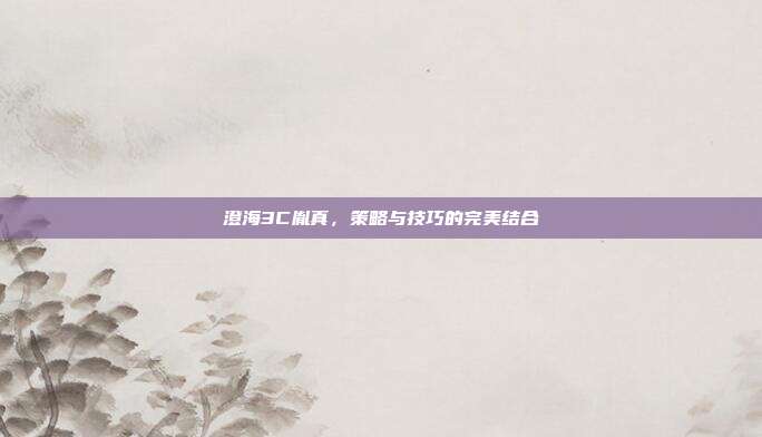 澄海3C胤真,策略与技巧的完美结合