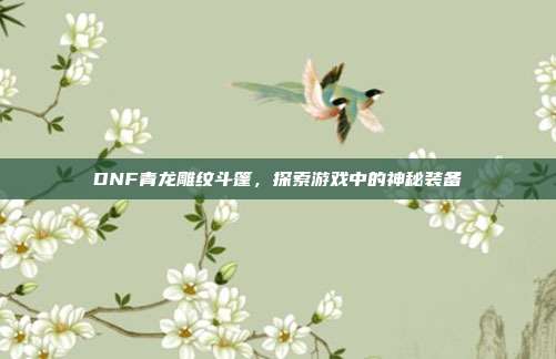 DNF青龙雕纹斗篷，探索游戏中的神秘装备