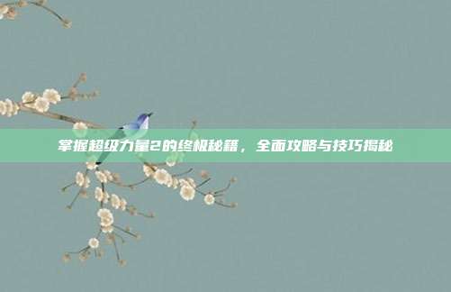 掌握超级力量2的终极秘籍,全面攻略与技巧揭秘