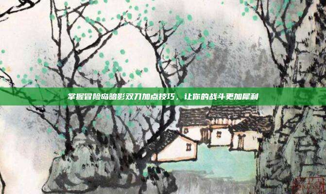 掌握冒险岛暗影双刀加点技巧,让你的战斗更加犀利
