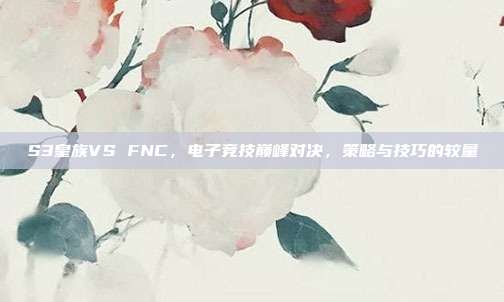S3皇族VS FNC,电子竞技巅峰对决,策略与技巧的较量