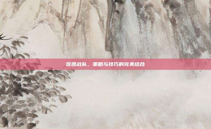 饭团战队,策略与技巧的完美结合