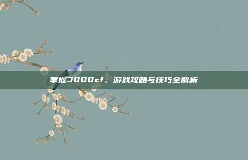 掌握3000cf,游戏攻略与技巧全解析