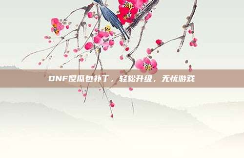 DNF傻瓜包补丁，轻松升级，无忧游戏