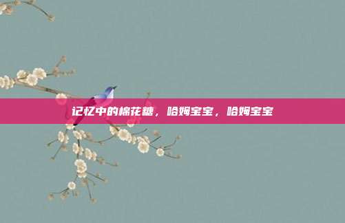 记忆中的棉花糖，哈姆宝宝，哈姆宝宝