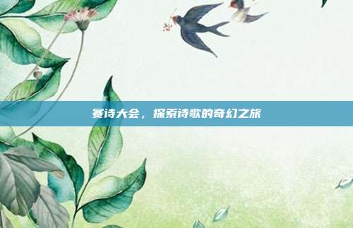 赛诗大会,探索诗歌的奇幻之旅