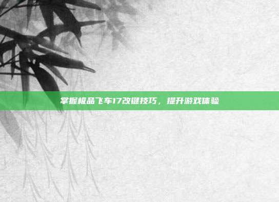 掌握极品飞车17改键技巧，提升游戏体验