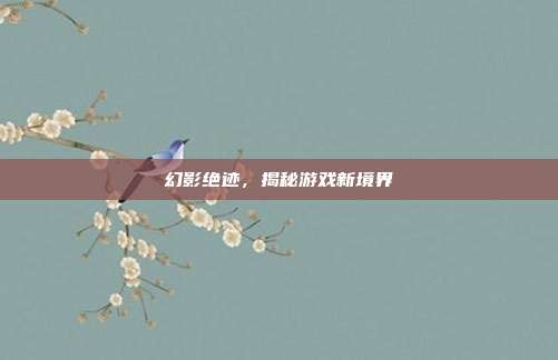 幻影绝迹,揭秘游戏新境界