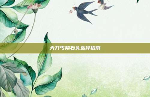 天刀丐帮石头选择指南