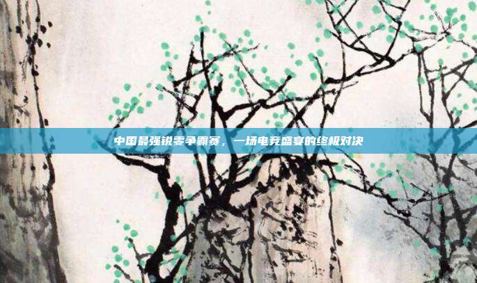 中国最强锐雯争霸赛,一场电竞盛宴的终极对决