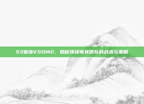 S3皇族VSOMG,揭秘顶级电竞团队的战术与策略