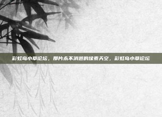 彩虹岛小草论坛，那片永不消逝的像素天空，彩虹岛小草论坛