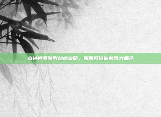 奇迹世界暗影加点攻略,如何打造你的强力角色