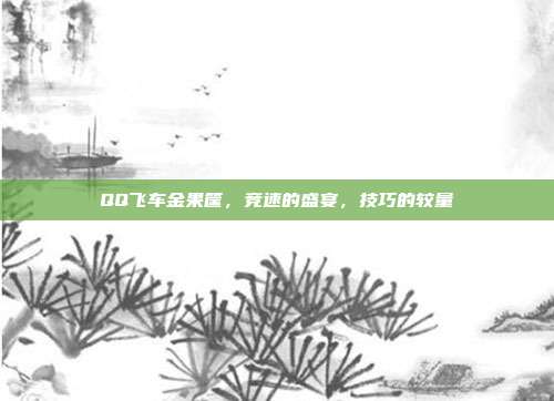 QQ飞车金果筐,竞速的盛宴,技巧的较量
