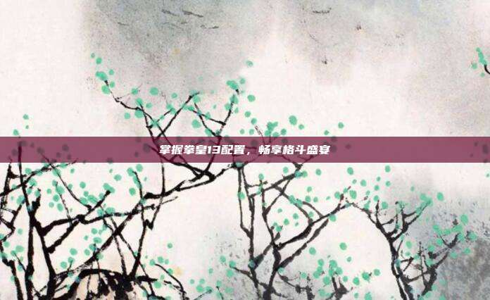 掌握拳皇13配置，畅享格斗盛宴