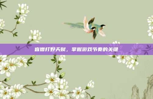 盲僧打野天赋,掌握游戏节奏的关键