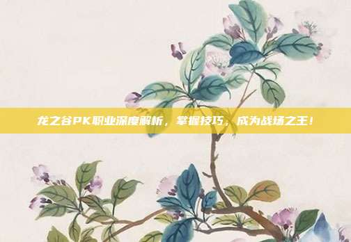 龙之谷PK职业深度解析，掌握技巧，成为战场之王！