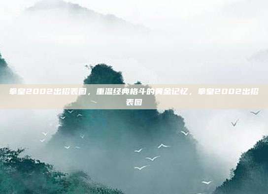 拳皇2002出招表图，重温经典格斗的黄金记忆，拳皇2002出招表图