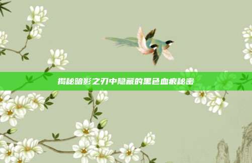 揭秘暗影之刃中隐藏的黑色血痕秘密