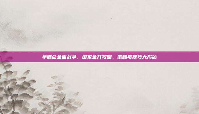 拿破仑全面战争,国家全开攻略,策略与技巧大揭秘