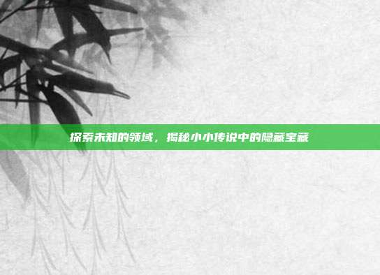 探索未知的领域,揭秘小小传说中的隐藏宝藏