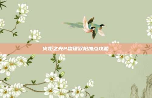 火炬之光2物理双枪加点攻略
