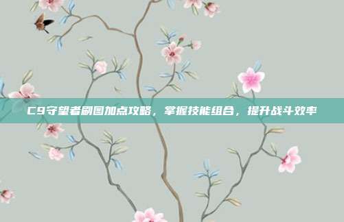 C9守望者刷图加点攻略,掌握技能组合,提升战斗效率