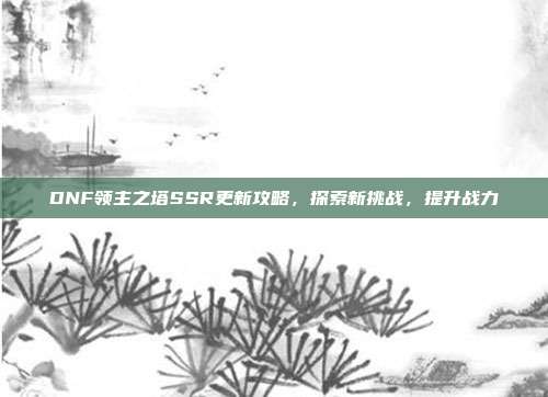 DNF领主之塔SSR更新攻略,探索新挑战,提升战力