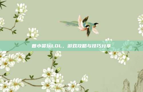 曾小贤玩LOL，游戏攻略与技巧分享