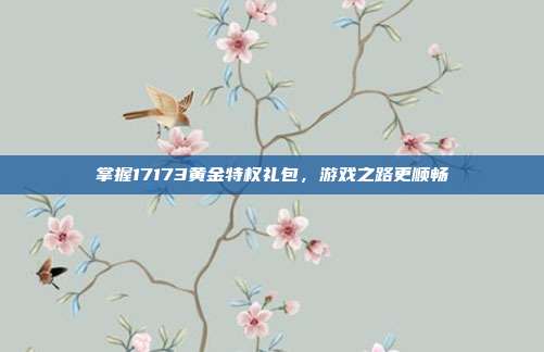 掌握17173黄金特权礼包,游戏之路更顺畅