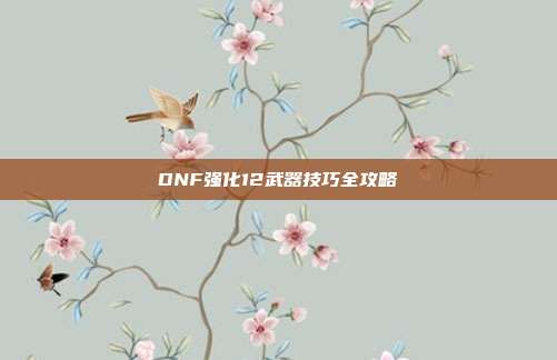 DNF强化12武器技巧全攻略